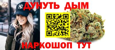 spice Гай