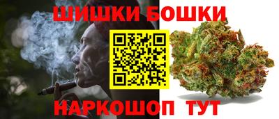 spice Гай